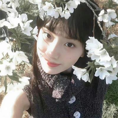 妖怪图鉴